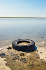 The old discarded used tire lying in water on the lake coast