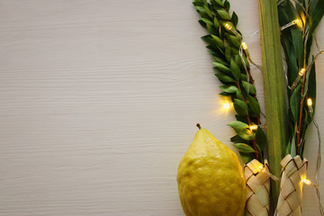 Jewish festival of Sukkot. Traditional symbols (The four species): Etrog, lulav, hadas, arava