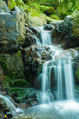 兵庫県・三田市尼ン滝