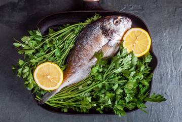 Raw dorado fish with spices, lemon and parsley in black grill pan on black concrete background. Top view