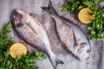 Two raw dorado fish with spices, lemon and parsley on cooking paper in oven sheet. Top view