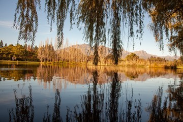 Beautiful lake at a South African wine farm