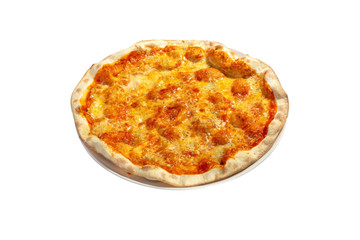 Pizza on the white background