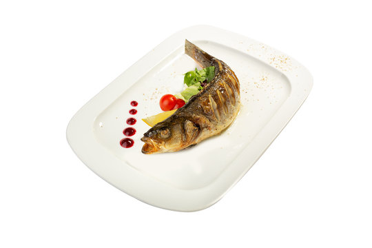 Fish on the white background