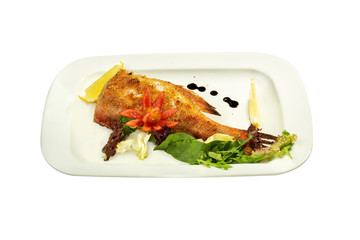 Fish on the white background