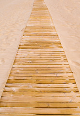 wooden path in the sand
