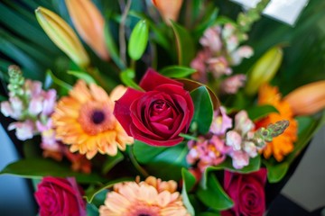 Fresh flower arrangement