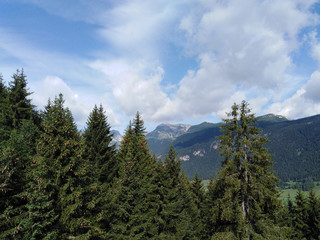 Berg und Wald