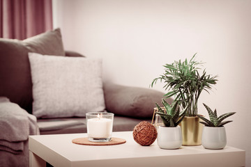 Still life home atmosphere in the interior with candle and home plants, home decor elements, the concept of comfort and coziness