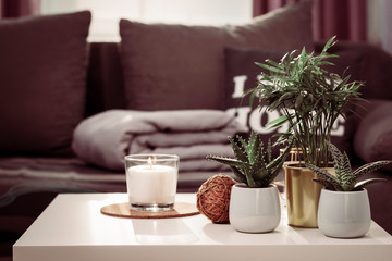 Fototapeta na wymiar still life home atmosphere in the interior with candle and home plants, home decor elements, the concept of comfort and coziness