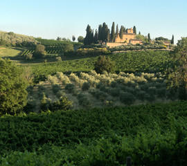 Hillside settlement in the agricultural landscape of Tuscany near Florence