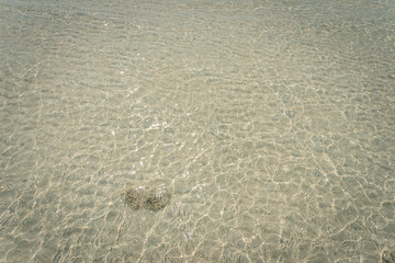 droped sungrass and small waves lapped the beach