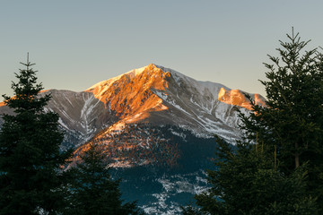 Velouchi mountain peak at sunset with fir trees in foreground and snow, Karpenisi