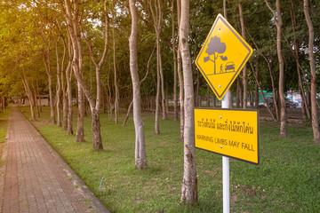 warning sign : limbs may fall in Thai and English language, black painted on yellow iron plate