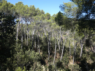 Paesaggio