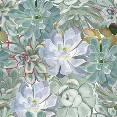 Seamless pattern with succulent flowers and leaves. Watercolor. Vector, EPS 10.