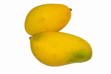 close up of two fresh ripe mangoes isolated on white background.yellow mango fruit on white background.