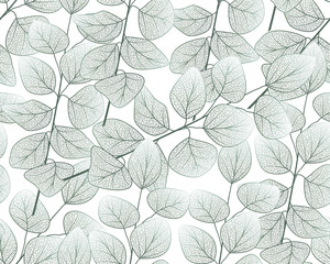 Seamless pattern with eucalyptus leaves.Vector illustration.