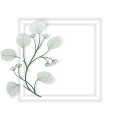 Beautiful background with branch leaves and space for text. Vector illustration. EPS 10.