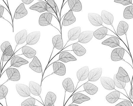 Seamless pattern with eucalyptus leaves.Vector illustration.