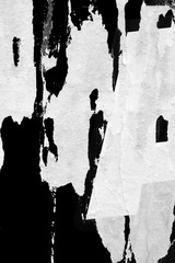 Old blank white grunge ripped torn posters crumpled paper background wall empty space for text