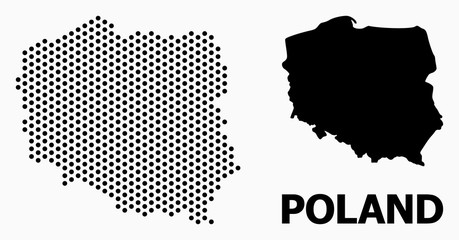 Pixelated Mosaic Map of Poland
