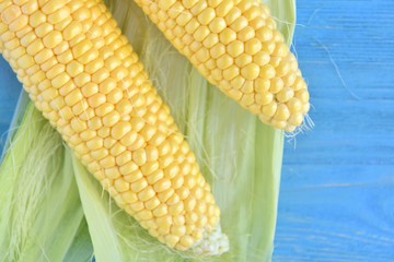 Bio organic corn with yellow sweet kernels and green leaves on blue wooden background. Raw fresh maize with selective focus. Healthy vegetarian food. Seasonal summer vegetables. Sweetcorn 