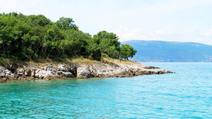 beautiful adriatic sea and coast with forest in croatia