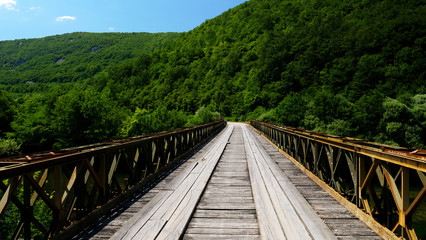 Fototapeta na wymiar wooden bridge and forest, in Bosnia