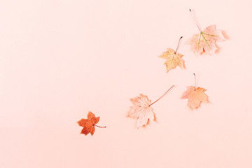 Autumn creative composition. Beautiful dried leaves on pastel pink background. Fall concept. Autumn background. Flat lay, top view, copy space