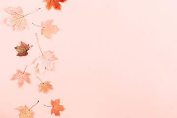 Autumn creative composition. Beautiful dried leaves on pastel pink background. Fall concept. Autumn background. Flat lay, top view, copy space
