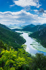 Fototapeta na wymiar Montenegro, Crnojevica river water flowing through green skadar valley into scutari lake in national park nature landscape like paradise