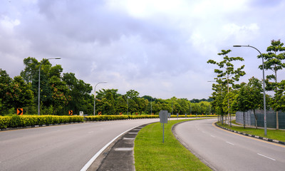 curve country road through the forest green area