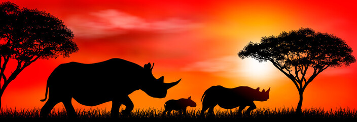 Naklejka na ściany i meble Group of african rhinos at sunset. Silhouette of an African rhinos. Rhinos on the background of the sun and trees. Rhinoceros family. African wild landscape. Sunset. Wildlife of Africa