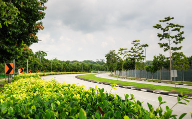 curve country road through the forest green area