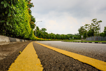 country road with yellow line through the forest green area closeup