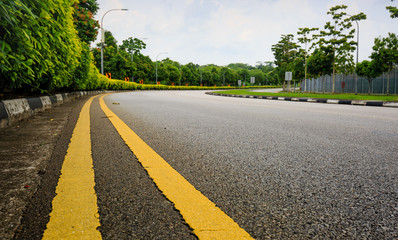 country road with yellow line through the forest green area closeup