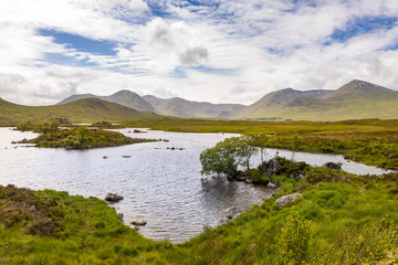 Fototapeta na wymiar lush landscape of the west highlands in Scotland