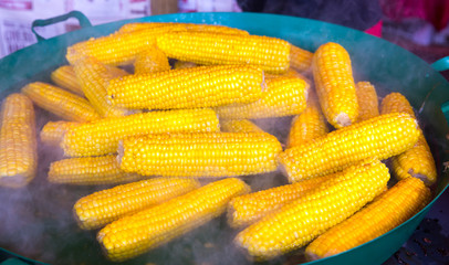 Steamed corn cobs cooking, smorgasbord