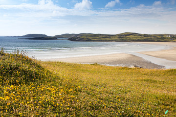 sandy beach with dune grass in Scotland, Isle of Lewis at low tide