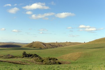 Fototapeta premium Russia.Western Siberia. The foothills of the Altai mountains