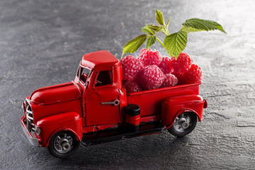 juicy ripe raspberry on the car model