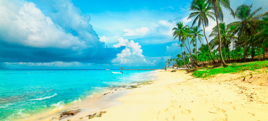 Panoramic view of the tropical beach in Dominican Republic. Coconut Palm trees on white sandy beach.