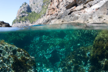 Water surface seen from seaweed rocky bottom. Underwater view. Split view above and below water surface. Mallorca. Balearic Islands