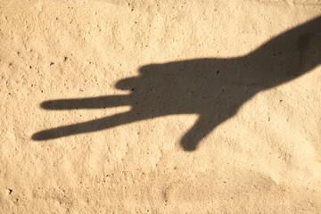 shaodw of the hand palm sign gesture