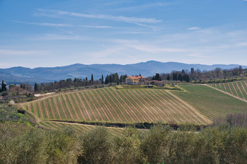 Fototapeta na wymiar Farms, hills and fields. Tuscany, Italy