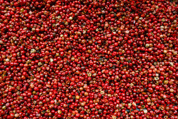 colorful background of red pepper in Grand Bazaar in Istambul