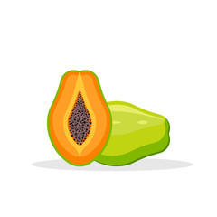 Papaya isolated on white background. Vector illustration.