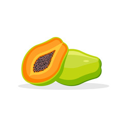 Papaya isolated on white background. Vector illustration.
