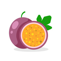 Passion fruit isolated on white background. Vector illustration.